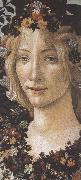 Sandro Botticelli Primavera (mk36) oil painting
